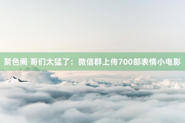 聚色阁 哥们太猛了：微信群上传700部表情小电影
