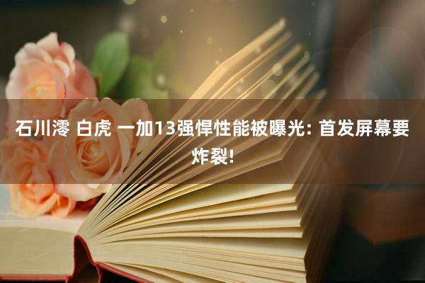 石川澪 白虎 一加13强悍性能被曝光: 首发屏幕要炸裂!