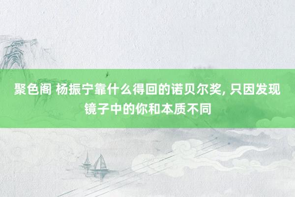 聚色阁 杨振宁靠什么得回的诺贝尔奖， 只因发现镜子中的你和本质不同