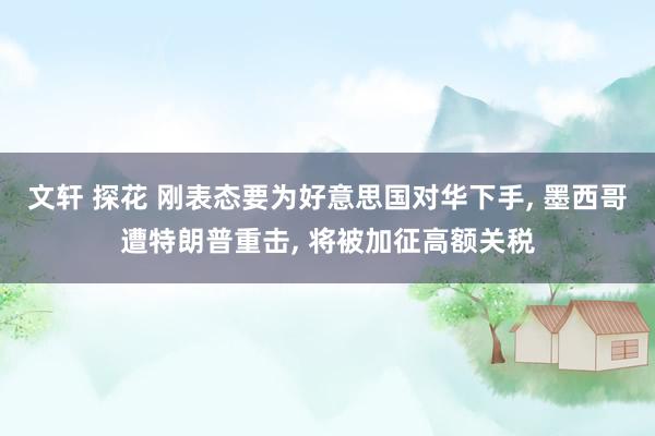 文轩 探花 刚表态要为好意思国对华下手， 墨西哥遭特朗普重击， 将被加征高额关税