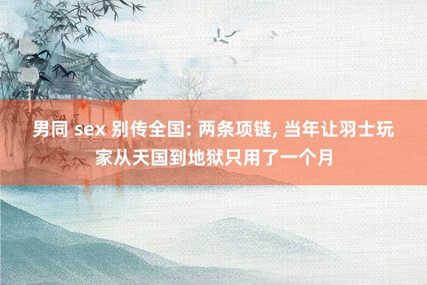 男同 sex 别传全国: 两条项链， 当年让羽士玩家从天国到地狱只用了一个月