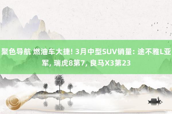 聚色导航 燃油车大捷! 3月中型SUV销量: 途不雅L亚军， 瑞虎8第7， 良马X3第23